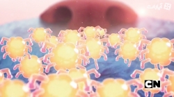 دنیای شگفت انگیز گامبال - فصل دوم - قسمت 20